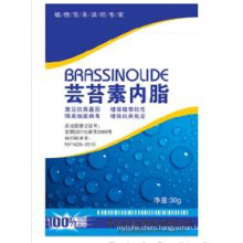 Safe and Healthy Crop Protection Plant Growth Regulator Natural Brassinolide